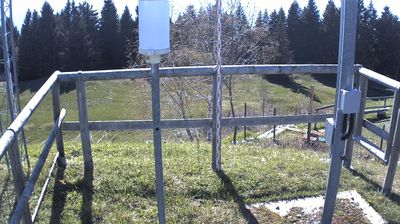 immagine della webcam nei dintorni di Malga San Giorgio: webcam Marco