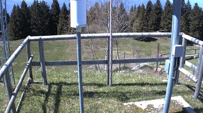 immagine della webcam nei dintorni di Malga San Giorgio: webcam Marco