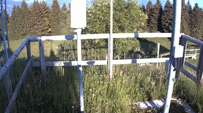 immagine della webcam nei dintorni di Nago-Torbole: webcam Marco