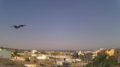 immagine della webcam nei dintorni di Brindisi Papola Casale: webcam Francavilla Fontana