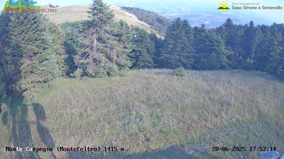 immagine della webcam nei dintorni di Monte Grimano Terme: webcam Carpegna