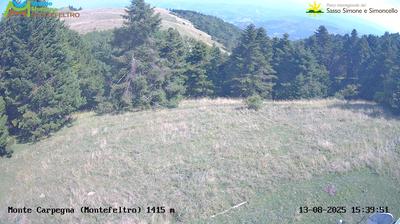 immagine della webcam nei dintorni di Novafeltria: webcam Carpegna