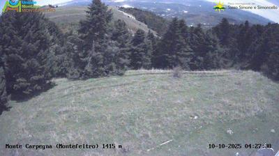 immagine della webcam nei dintorni di Caprese Michelangelo: webcam Carpegna