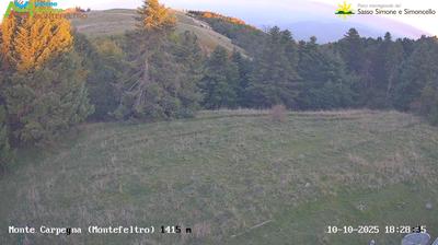 immagine della webcam nei dintorni di Sansepolcro: webcam Carpegna