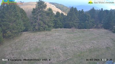 immagine della webcam nei dintorni di Macerata Feltria: webcam Carpegna