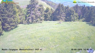 immagine della webcam nei dintorni di Monte Grimano Terme: webcam Carpegna