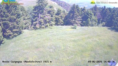 Preview delle webcam di Carpegna