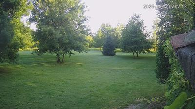 immagine della webcam nei dintorni di Novi di Modena: webcam Limidi