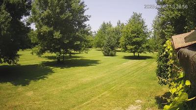immagine della webcam nei dintorni di Cento: webcam Limidi