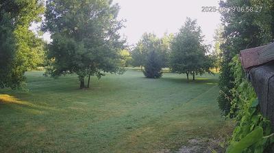 immagine della webcam nei dintorni di Reggiolo: webcam Limidi