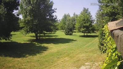 immagine della webcam nei dintorni di Baggiovara: webcam Limidi