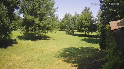 immagine della webcam nei dintorni di Reggio Emilia: webcam Limidi