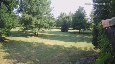 immagine della webcam nei dintorni di Carpi: webcam Limidi