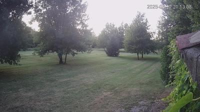 immagine della webcam nei dintorni di San Damaso: webcam Limidi