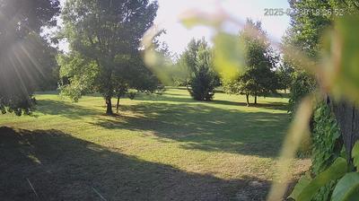 immagine della webcam nei dintorni di Novi di Modena: webcam Limidi