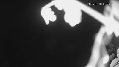 immagine della webcam nei dintorni di Cento: webcam Limidi