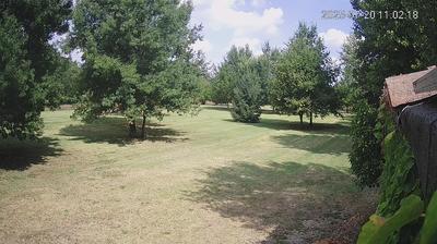 immagine della webcam nei dintorni di Boretto: webcam Limidi