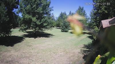 immagine della webcam nei dintorni di Campogalliano: webcam Limidi