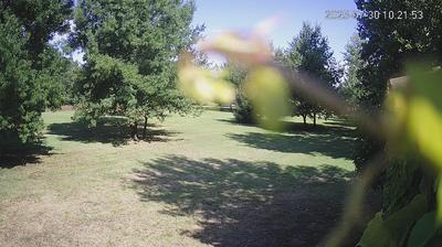 immagine della webcam nei dintorni di San Felice sul Panaro: webcam Limidi