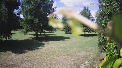 immagine della webcam nei dintorni di Campogalliano: webcam Limidi