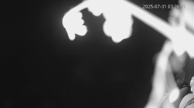 immagine della webcam nei dintorni di Arceto: webcam Limidi