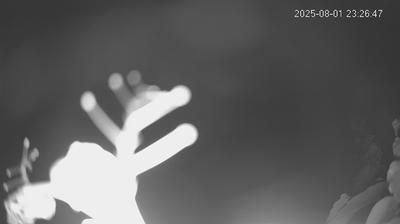 immagine della webcam nei dintorni di Soliera: webcam Limidi