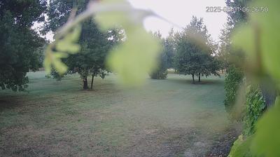 immagine della webcam nei dintorni di Sant'Agata Bolognese: webcam Limidi