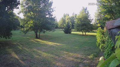 immagine della webcam nei dintorni di Bagnolo in Piano: webcam Limidi