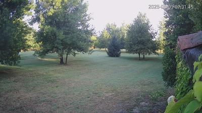 immagine della webcam nei dintorni di Scandiano: webcam Limidi
