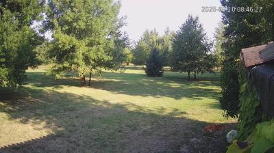 immagine della webcam nei dintorni di Novi di Modena: webcam Limidi