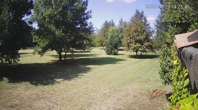 immagine della webcam nei dintorni di Reggio Emilia: webcam Limidi