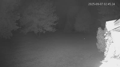 immagine della webcam nei dintorni di Cento: webcam Limidi