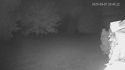 immagine della webcam nei dintorni di Suzzara: webcam Limidi
