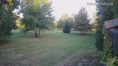 immagine della webcam nei dintorni di Campogalliano: webcam Limidi