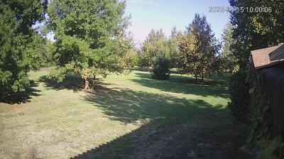 immagine della webcam nei dintorni di Sant'Agata Bolognese: webcam Limidi