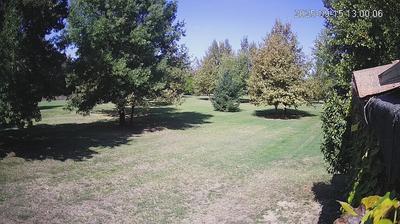 immagine della webcam nei dintorni di Sermide: webcam Limidi
