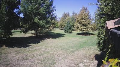 immagine della webcam nei dintorni di Novellara: webcam Limidi