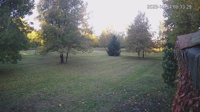 immagine della webcam nei dintorni di Suzzara: webcam Limidi