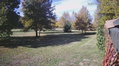 immagine della webcam nei dintorni di Carpi: webcam Limidi