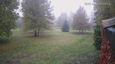 immagine della webcam nei dintorni di San Felice sul Panaro: webcam Limidi