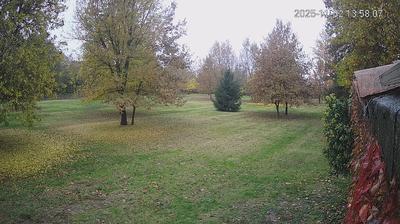 immagine della webcam nei dintorni di Bagnolo in Piano: webcam Limidi