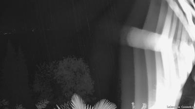 immagine della webcam nei dintorni di Trarego Viggiona: webcam Cannobio
