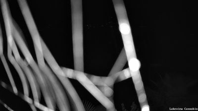 immagine della webcam nei dintorni di Baceno: webcam Cannobio