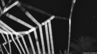 immagine della webcam nei dintorni di Toceno: webcam Cannobio