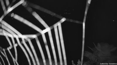 immagine della webcam nei dintorni di Malesco: webcam Cannobio