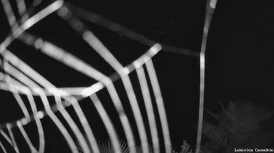 immagine della webcam nei dintorni di Druogno: webcam Cannobio