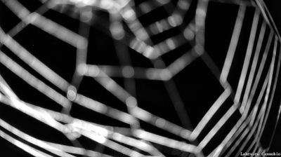 immagine della webcam nei dintorni di Maccagno con Pino e Veddasca: webcam Cannobio