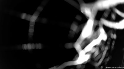 immagine della webcam nei dintorni di Curiglia con Monteviasco: webcam Cannobio