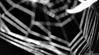 immagine della webcam nei dintorni di Curiglia con Monteviasco: webcam Cannobio