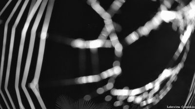 immagine della webcam nei dintorni di Baceno: webcam Cannobio